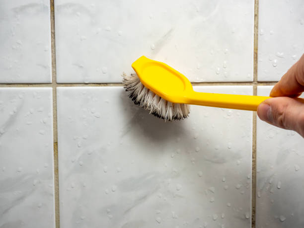 Water Damage Restoration in Mickleton, NJ