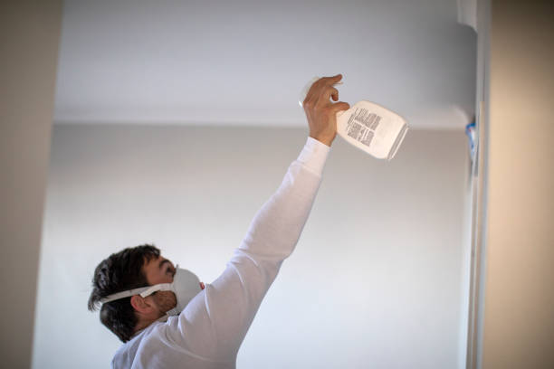 Best Emergency Mold Removal  in Mickleton, NJ