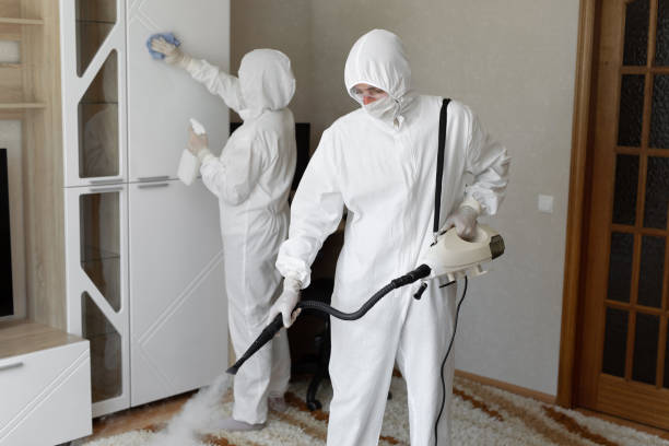 Best Residential Mold Removal  in Mickleton, NJ