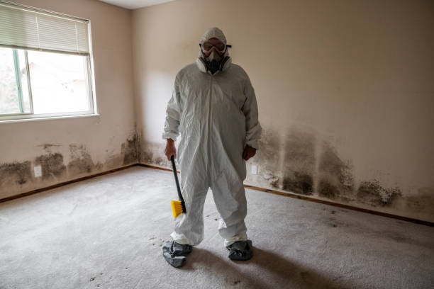 Best Residential Mold Removal  in Mickleton, NJ